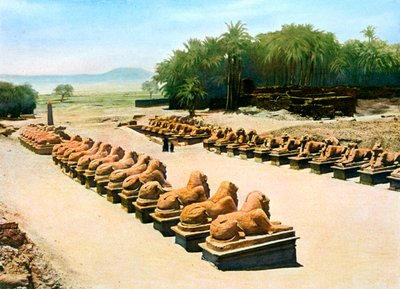 Viale di sfingi con testa di ariete, tempio di Amon-Ra, Karnak, Luxor, Egitto, XX secolo da Unbekannt