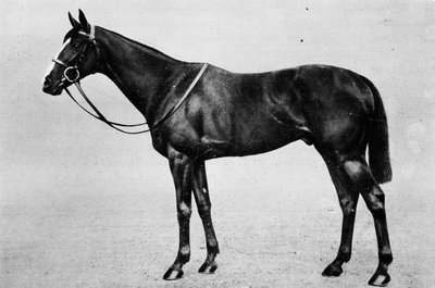 Doppio scapolo, 1911 da Unbekannt