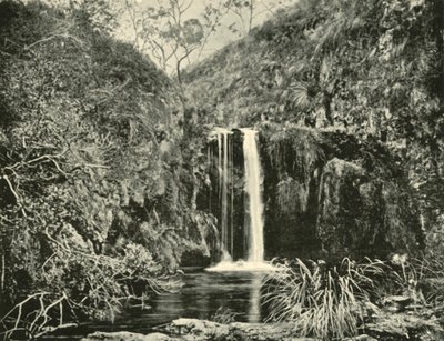 Cascate di Back Creek, fiume Buchan, Victoria, 1901 da Unbekannt