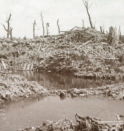 Sponde del fiume Yser, Diksmuide, Belgio, c1914-c1918 da Unbekannt