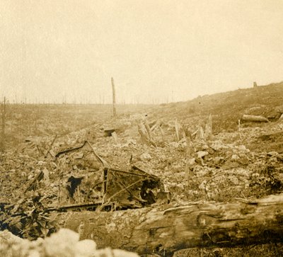 Campo di battaglia, Bezonvaux, Verdun, Francia settentrionale, c1914-c1918 da Unbekannt
