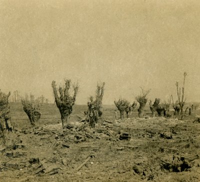 Campo di Battaglia, Maurepas, nord della Francia, c1914-c1918 da Unbekannt