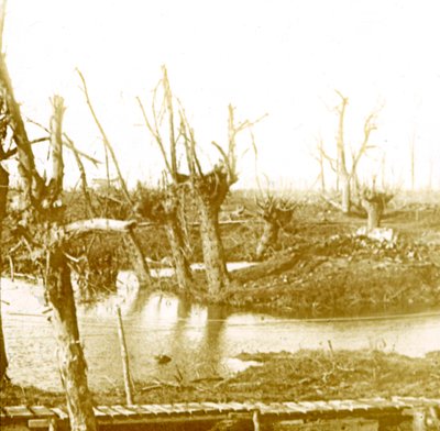 Campo di battaglia, c. 1914-1918 da Unbekannt