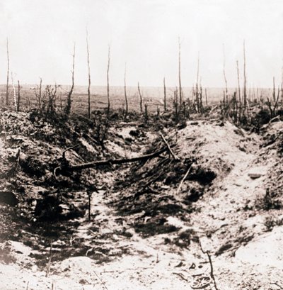 Campo di battaglia, c1914-c1918 da Unbekannt