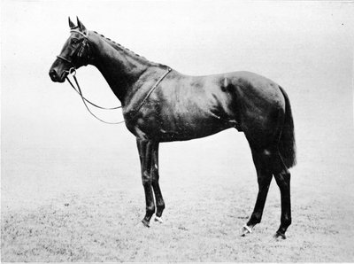 Bayardo, 1911 da Unbekannt