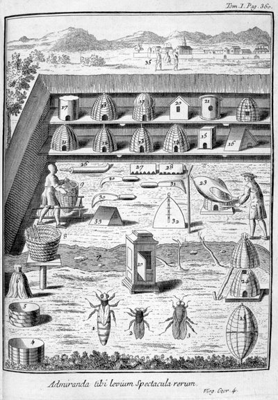 Apicoltura, 1775 da Unbekannt