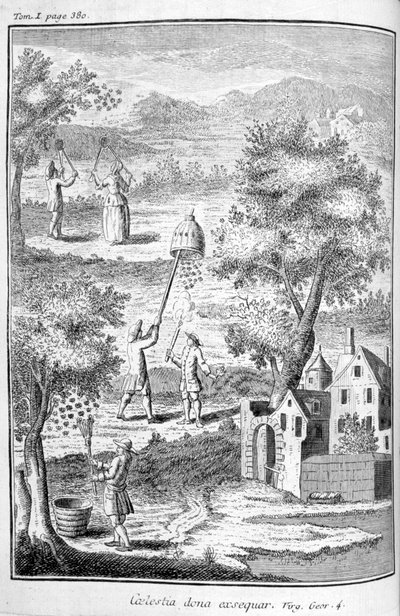 Apicoltura, 1775 da Unbekannt