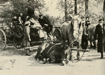 Rifugiati belgi sulla strada, 1939-1940, 1941 da Unbekannt