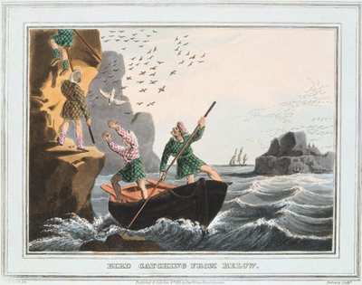 Cattura di uccelli dal basso, Isole Shetland, 1813 da Unbekannt