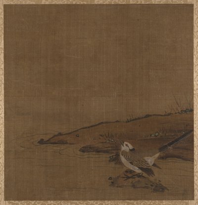 Uccello vicino all