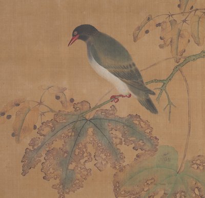 Uccello su un ramo da Unbekannt