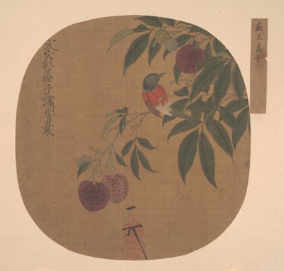 Uccello su un ramo di litchi da Unbekannt