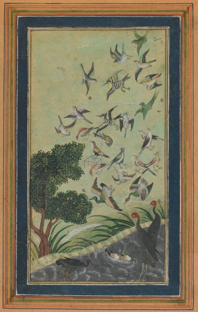 Uccelli a Baran, possibilmente dal Babur-nama, fine XVI secolo da Unbekannt