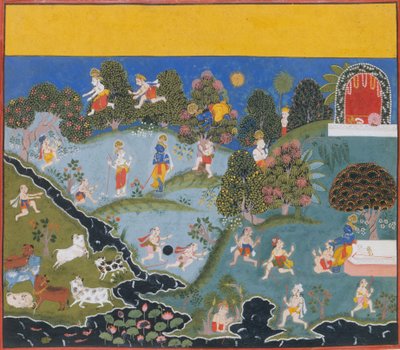 Acchiapparello...da un Bhagavata Purana Disperso Antiche Storie di Lord Vishnu da Unbekannt