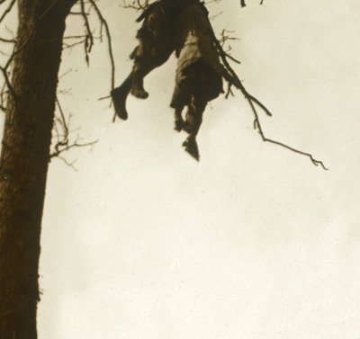 Corpo in un albero, Bois d