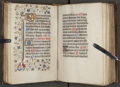 Libro delle Ore, c.1450 da Unbekannt