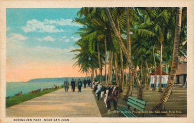 Parco Borinquen, vicino a San Juan, 1909 da Unbekannt