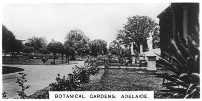 Giardini Botanici, Adelaide, Australia, 1928 da Unbekannt