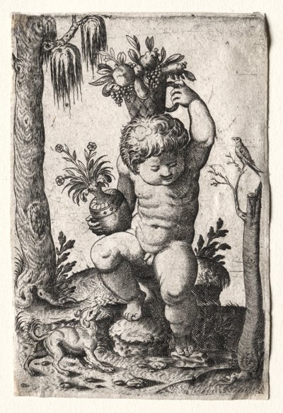 Ragazzo con cesto di frutta, 1500 o 1600 da Unbekannt