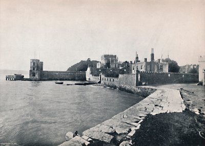 Isola di Branksea - Vista generale del castello, 1895 da Unbekannt