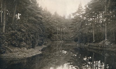 Branksome Chine e Lago da Unbekannt