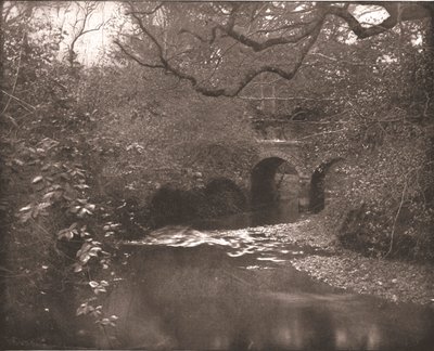Ruscello e ponte nella New Forest, Hampshire, 1894 da Unbekannt