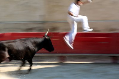 Corse camarguaise. Uno spettacolo incruento (per i tori) in cui l