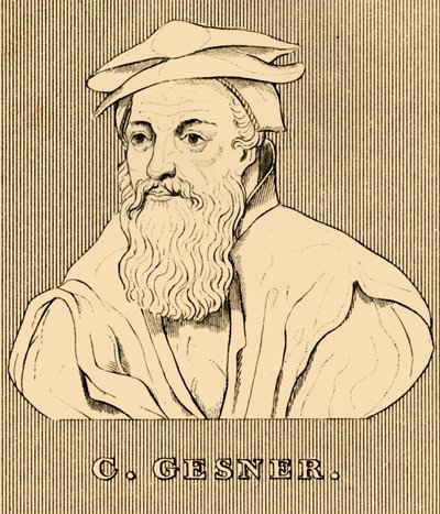 C. Gesner, 1516-1565, 1830 da Unbekannt