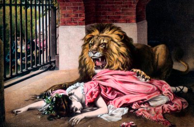 Leone in gabbia con donna dormiente da Unbekannt