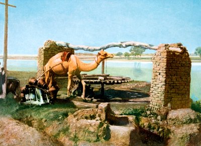 Cammello e shaduf, Luxor, Egitto, XX secolo da Unbekannt
