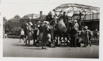 Giro in cammello, c 1930 da Unbekannt