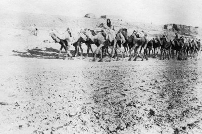 Carovana di cammelli, Mosul, Mesopotamia, 1918 da Unbekannt
