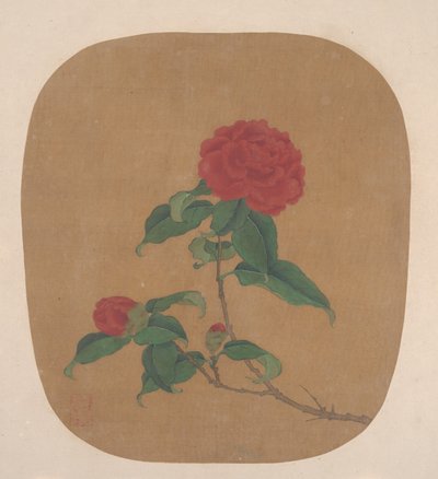 Fiori di Camelia da Unbekannt