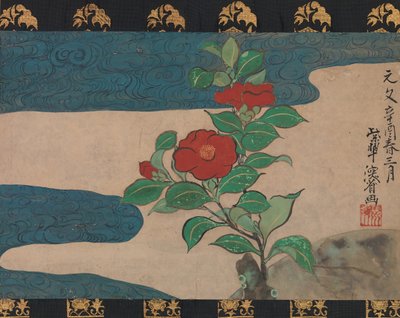 Camelia sull