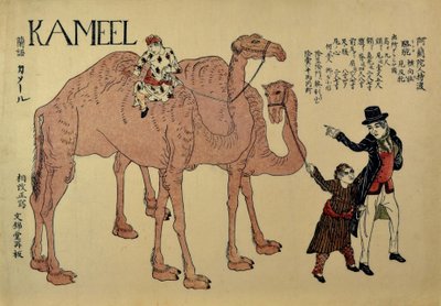 Cammelli con conduttori olandesi, ca. 1821 da Unbekannt