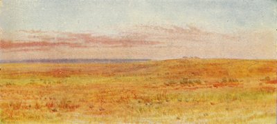 Prateria canadese, 1924 da Unbekannt