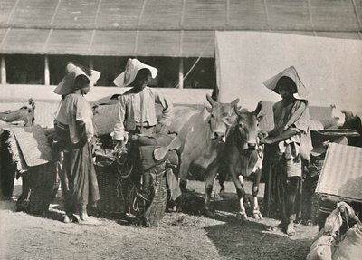 Scena di carovana con Shans a Bhamo, 1900 da Unbekannt