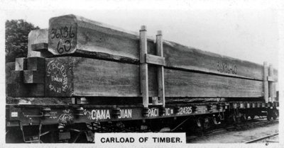 Carico di abete di Douglas, Canada, c1920s da Unbekannt