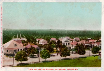 Castro Street, Hayward, California, 1905 da Unbekannt