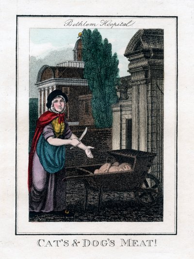 Carne di gatti e cani!, Bethlem Hospital, Londra, 1805 da Unbekannt