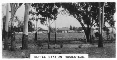 Fattoria della stazione di bestiame, Australia, 1928 da Unbekannt