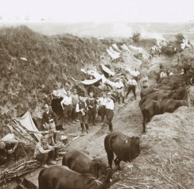 Cavalleria, c1914-c1918 da Unbekannt