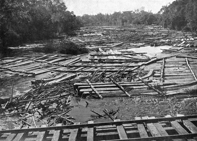 Tronchi di cedro sul fiume Tebicuary-Guazu che galleggiano vicino al ponte ferroviario, Paraguay da Unbekannt