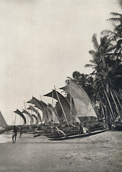 Barche da pesca ceylonesi con bilanciere, 1926 da Unbekannt