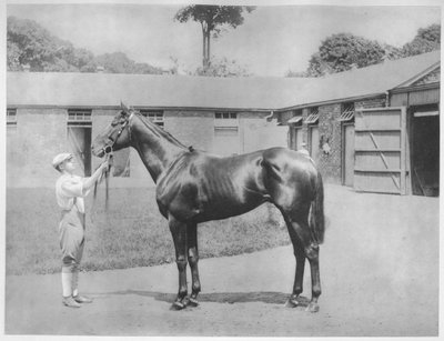 Chandon, 1911 da Unbekannt