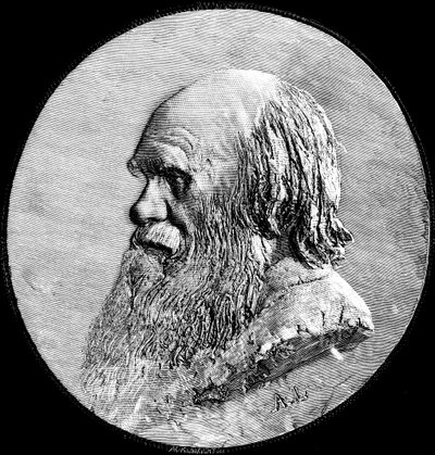 Charles Darwin, 1882 da Unbekannt