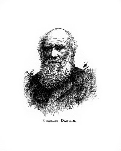 Charles Darwin, naturalista britannico del XIX secolo da Unbekannt