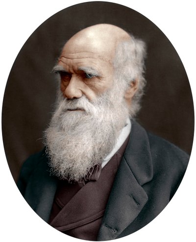 Charles Darwin, naturalista britannico da Unbekannt