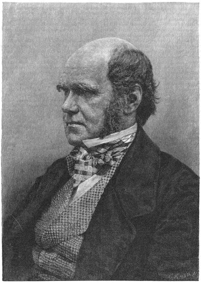Charles Darwin, naturalista inglese, 1884 da Unbekannt