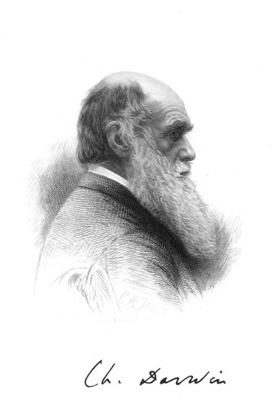 Charles Darwin, naturalista inglese, c1880 da Unbekannt